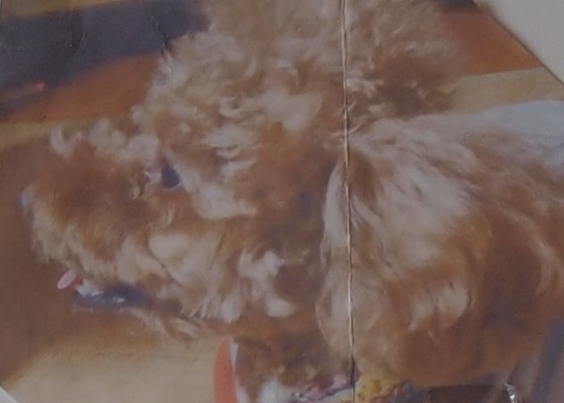 『物つくり』に情熱を燃やし、20年目も感動の結婚指輪(マリッジリング)作りを。。。