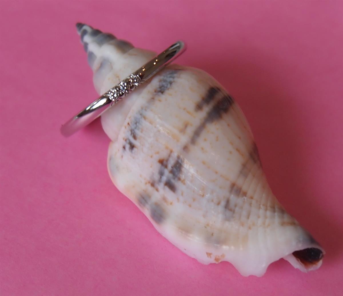 難しいとやってくれないティファニーのPT950の結婚指輪(マリッジリング)のサイズ直しも